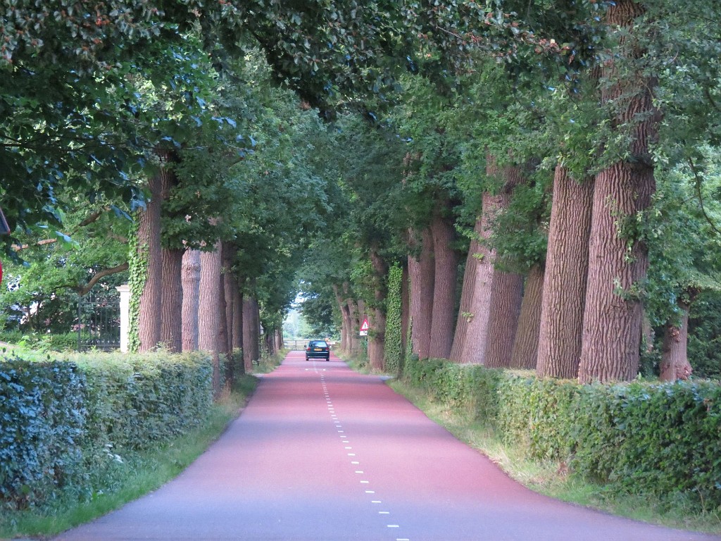 WF_Vecht_2013_072