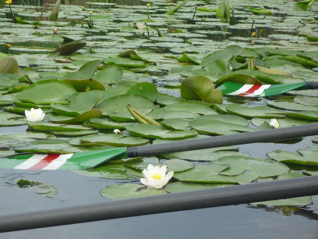 WF_Vecht_2013_082