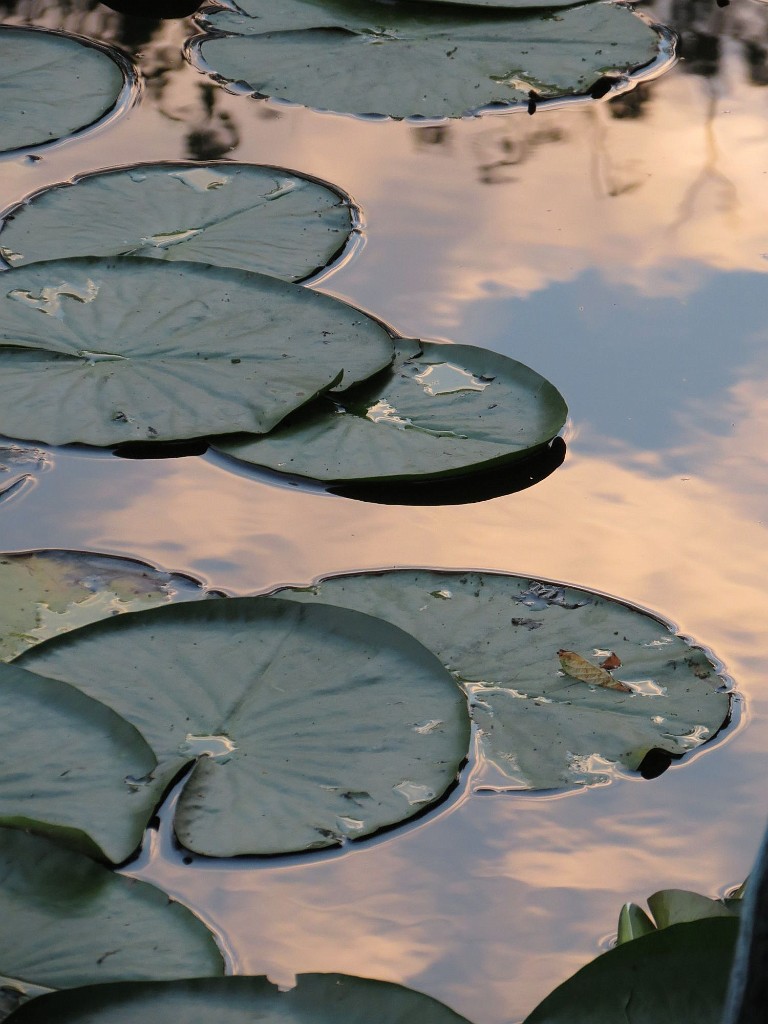 WF_Vecht_2013_120