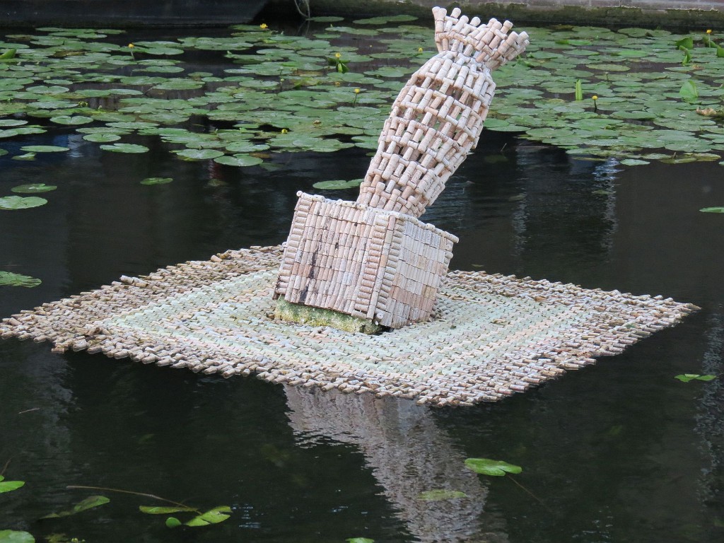 WF_Vecht_2013_128