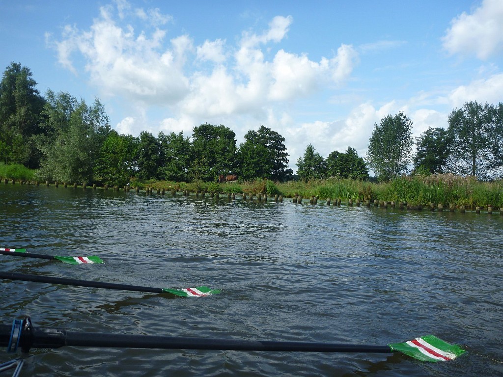 WF_Vecht_2013_154