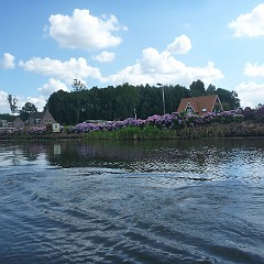 WF_Vecht_2013_021