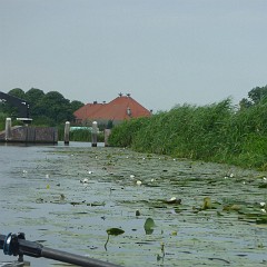 WF_Vecht_2013_088