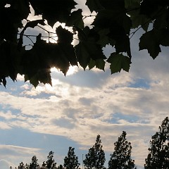 WF_Vecht_2013_114
