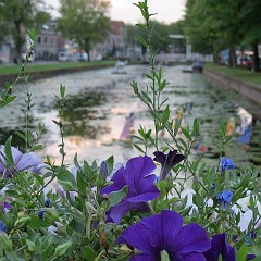 WF_Vecht_2013_124