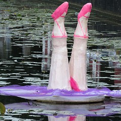 WF_Vecht_2013_126